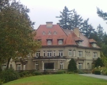 Picture